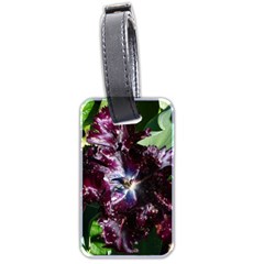 Galaxy Tulip Luggage Tag (two Sides) by okhismakingart