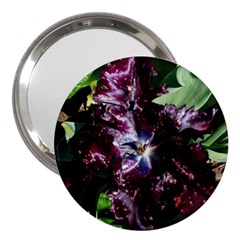 Galaxy Tulip 3  Handbag Mirrors by okhismakingart