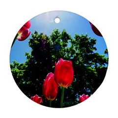 Skyward Tulips Ornament (round) by okhismakingart