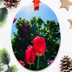 Skyward Tulips Ornament (oval)