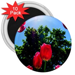 Skyward Tulips 3  Magnets (10 Pack)  by okhismakingart