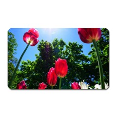 Skyward Tulips Magnet (rectangular) by okhismakingart