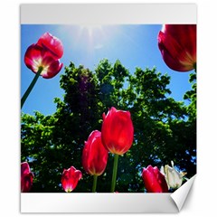 Skyward Tulips Canvas 8  X 10  by okhismakingart