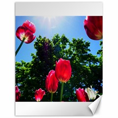 Skyward Tulips Canvas 12  X 16  by okhismakingart