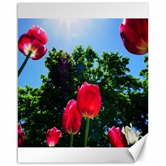 Skyward Tulips Canvas 16  X 20  by okhismakingart