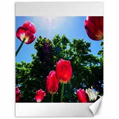 Skyward Tulips Canvas 18  X 24  by okhismakingart