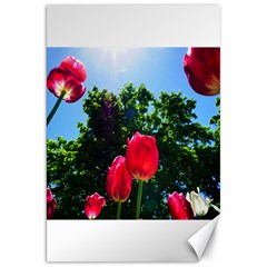 Skyward Tulips Canvas 20  X 30  by okhismakingart