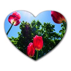 Skyward Tulips Heart Mousepads by okhismakingart