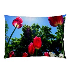 Skyward Tulips Pillow Case by okhismakingart