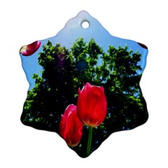 Skyward Tulips Snowflake Ornament (two Sides) by okhismakingart