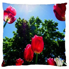 Skyward Tulips Large Flano Cushion Case (one Side) by okhismakingart