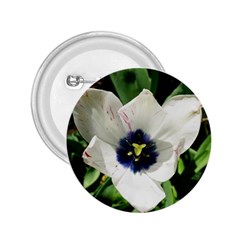 Blue Centered Tulip 2 25  Buttons by okhismakingart