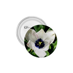 Blue Centered Tulip 1 75  Buttons by okhismakingart