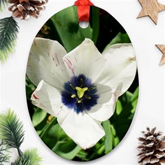 Blue Centered Tulip Ornament (Oval)