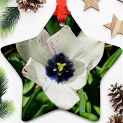 Blue Centered Tulip Ornament (Star)