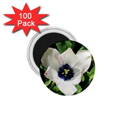 Blue Centered Tulip 1 75  Magnets (100 Pack)  by okhismakingart