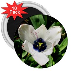 Blue Centered Tulip 3  Magnets (10 Pack)  by okhismakingart