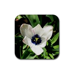 Blue Centered Tulip Rubber Coaster (square)  by okhismakingart