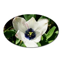 Blue Centered Tulip Oval Magnet by okhismakingart