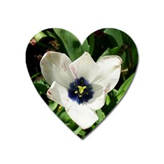 Blue Centered Tulip Heart Magnet by okhismakingart