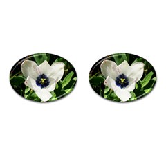 Blue Centered Tulip Cufflinks (oval) by okhismakingart