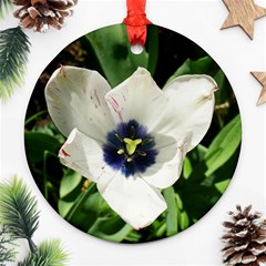 Blue Centered Tulip Round Ornament (two Sides)