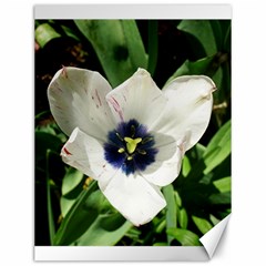 Blue Centered Tulip Canvas 12  X 16  by okhismakingart