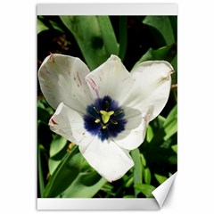 Blue Centered Tulip Canvas 12  x 18 