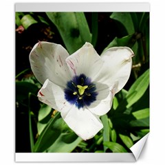 Blue Centered Tulip Canvas 20  x 24 