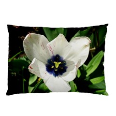 Blue Centered Tulip Pillow Case