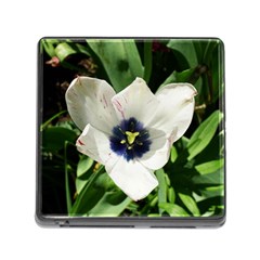 Blue Centered Tulip Memory Card Reader (Square 5 Slot)