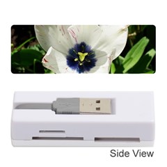 Blue Centered Tulip Memory Card Reader (Stick)