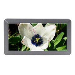 Blue Centered Tulip Memory Card Reader (Mini)