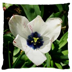 Blue Centered Tulip Large Cushion Case (one Side) by okhismakingart