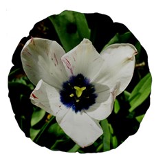 Blue Centered Tulip Large 18  Premium Round Cushions