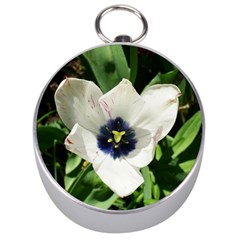 Blue Centered Tulip Silver Compasses by okhismakingart