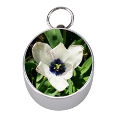 Blue Centered Tulip Mini Silver Compasses