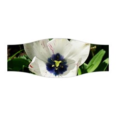 Blue Centered Tulip Stretchable Headband