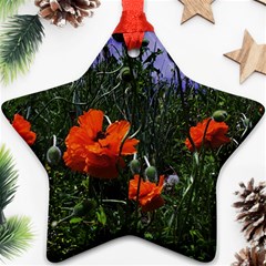 Poppy Field Ornament (star)