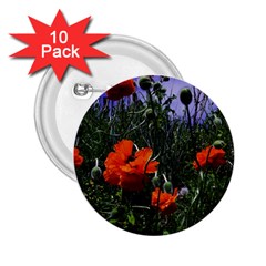 Poppy Field 2 25  Buttons (10 Pack)  by okhismakingart