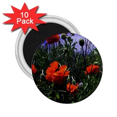 Poppy Field 2 25  Magnets (10 Pack)  by okhismakingart