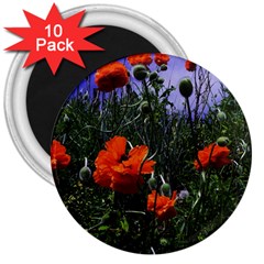 Poppy Field 3  Magnets (10 Pack)  by okhismakingart