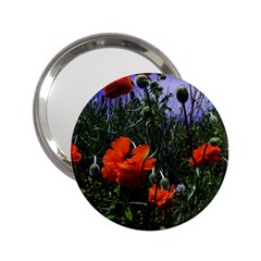 Poppy Field 2 25  Handbag Mirrors by okhismakingart