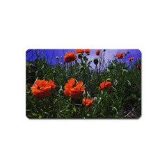 Poppy Field Magnet (name Card) by okhismakingart