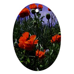 Poppy Field Oval Ornament (two Sides) by okhismakingart