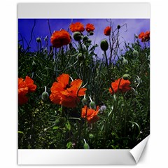 Poppy Field Canvas 16  X 20  by okhismakingart