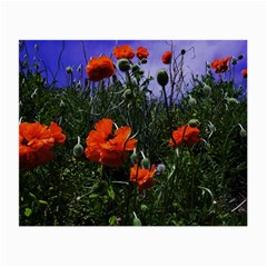 Poppy Field Small Glasses Cloth (2 Sides) by okhismakingart