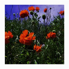 Poppy Field Medium Glasses Cloth by okhismakingart