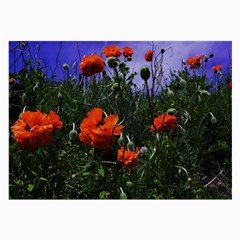 Poppy Field Large Glasses Cloth (2 Sides) by okhismakingart