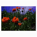 Poppy Field Large Glasses Cloth (2 Sides) Front